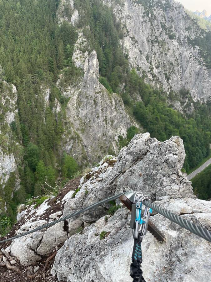 Berghaus Gesaeuse Pension Weng im Gesause Exteriör bild